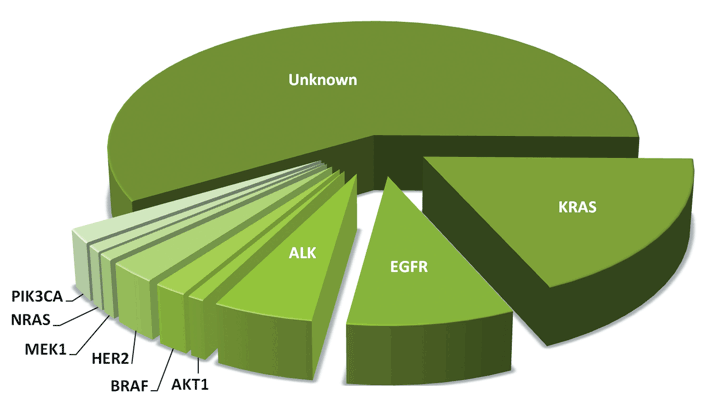 a-benign-tumor-formed-by-an-abnormal-collection